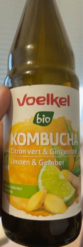 Kombucha Citron vert & Gingembre