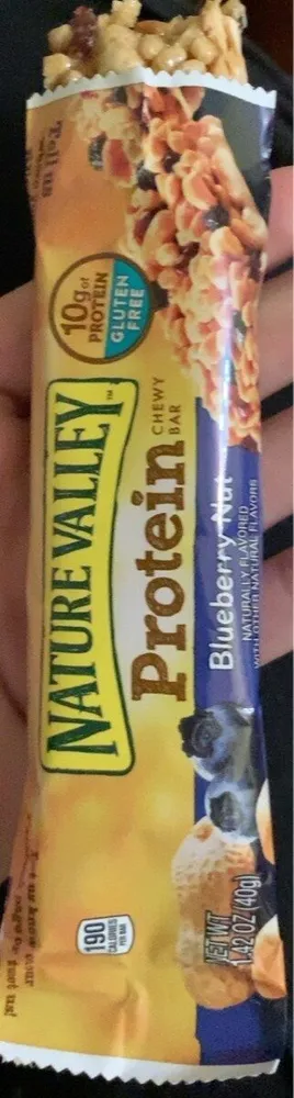 BLUEBERRY NUT CHEWY BAR