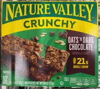 Oats 'n Dark Chocolate Granola Bars