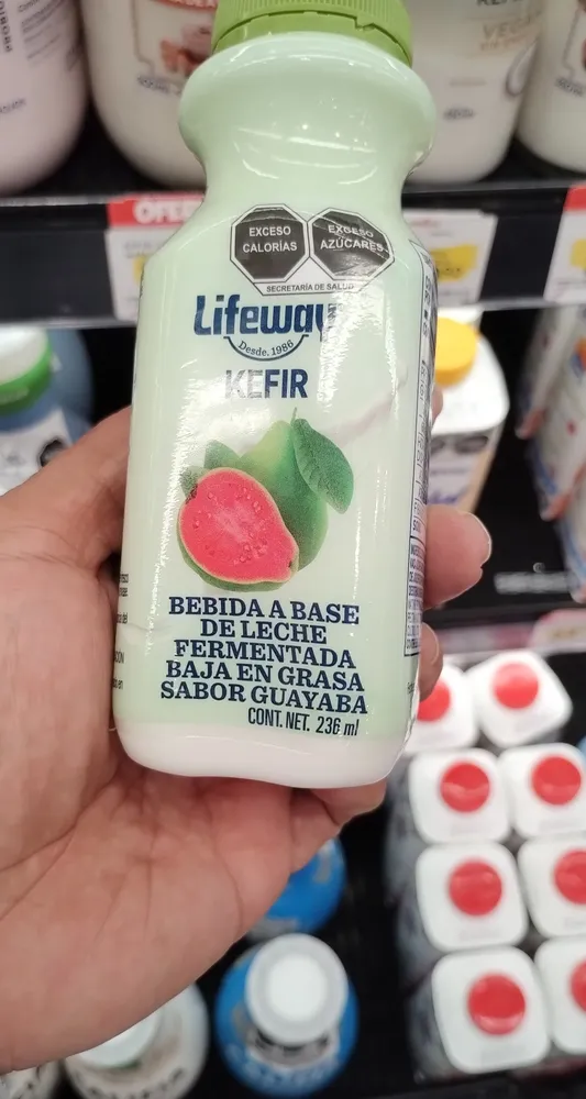 Lifeway kefir 236ml
