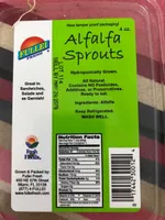 Alfalfa Sprouts