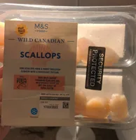 Wild Canadian Scallops