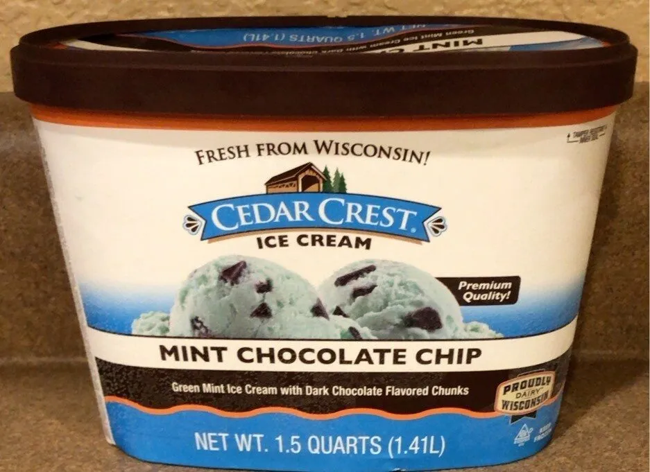 Mint Chocolate Chip Ice Cream