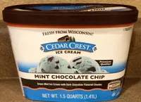 Mint Chocolate Chip Ice Cream