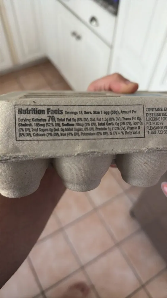 egg