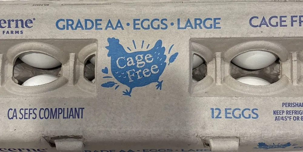 Grade A Eggs
