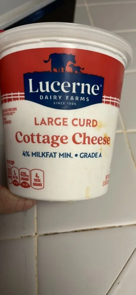 Large Curd Cottage Cheese