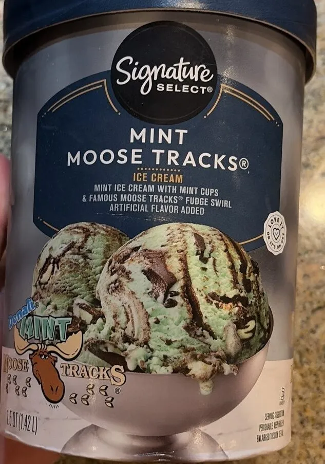 Mint Moose Tracks Ice Cream
