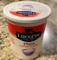 Dairy farms plain lowfat yogurt