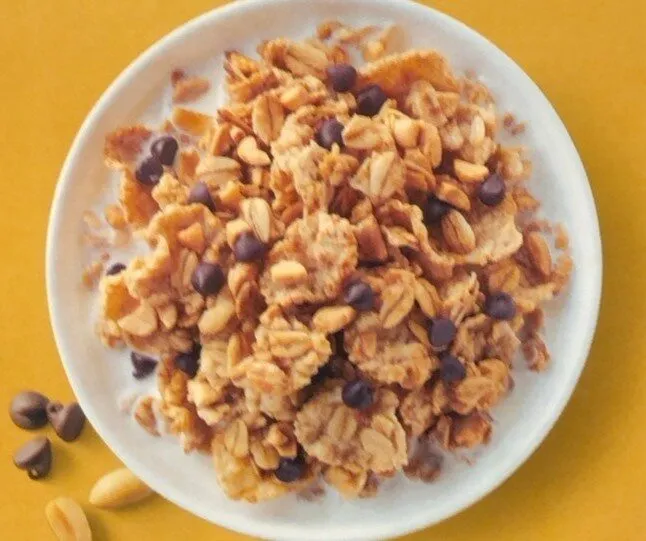 Peanut Butter Chocolate Chip