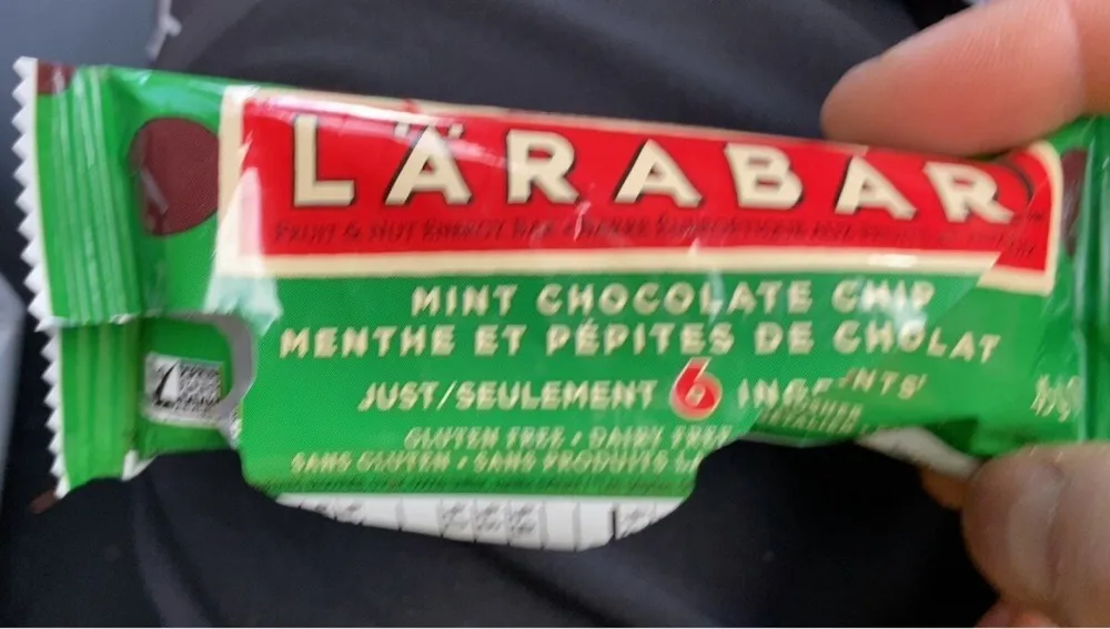 Mint Chocolate Chip