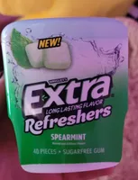 Spearmint Sugarfree Gum