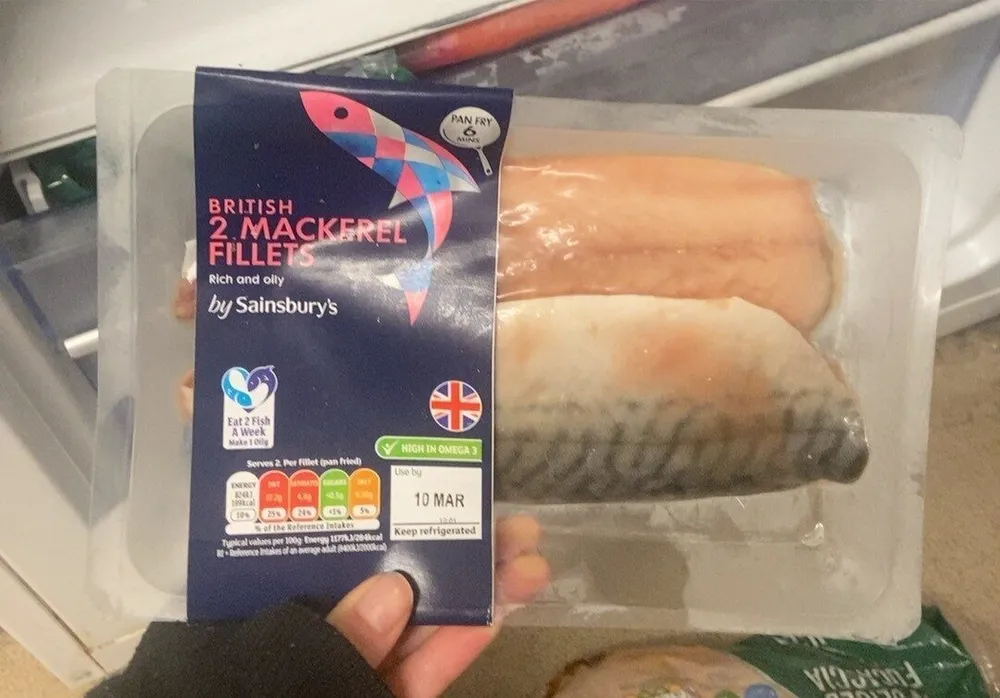 mackerel fillets