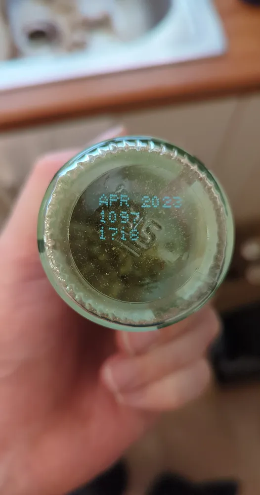 OREGANO