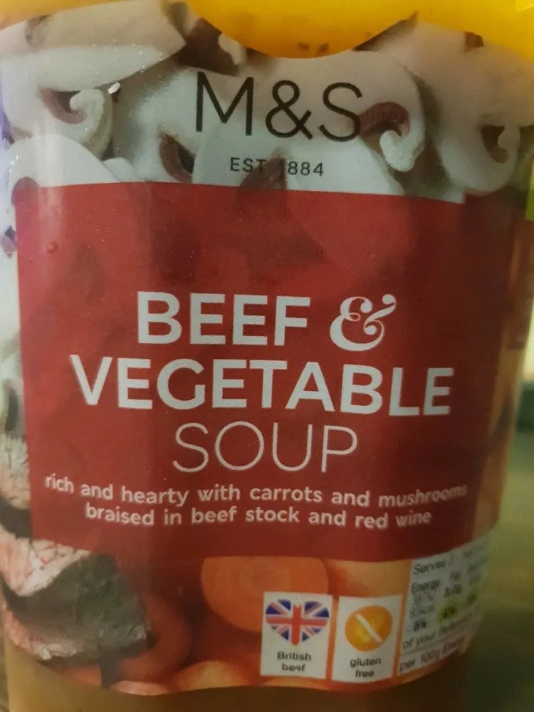 Beef and vegetable soup