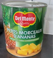 Petits morceaux d’ananas