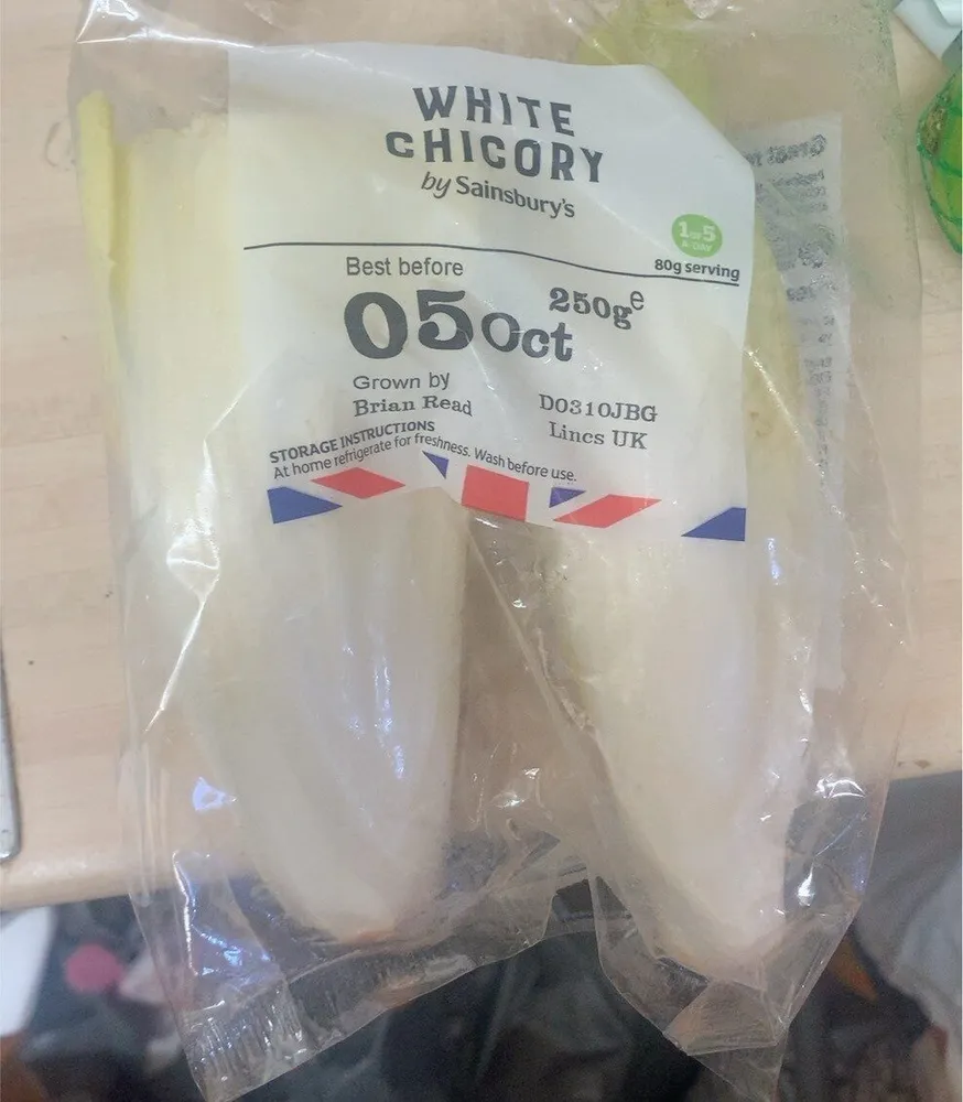 White chicory