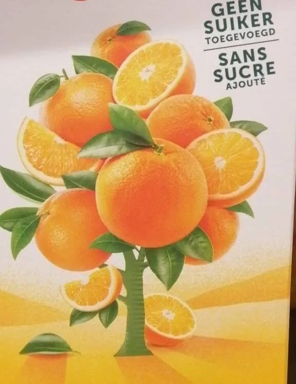 Orange 100% puur sap