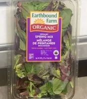 Organic spring mix salad