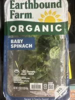 Organic Baby Spinach