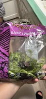 BABY SPRING MIX