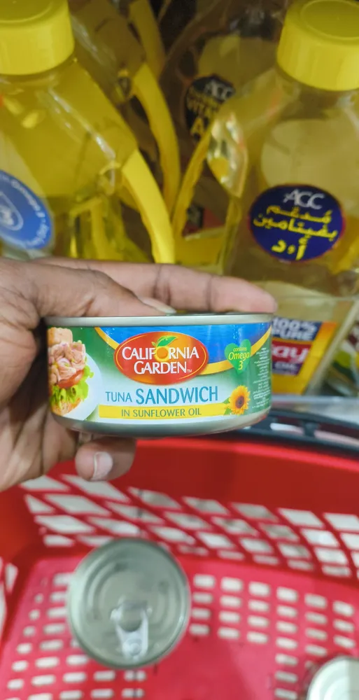 Tuna sandwich