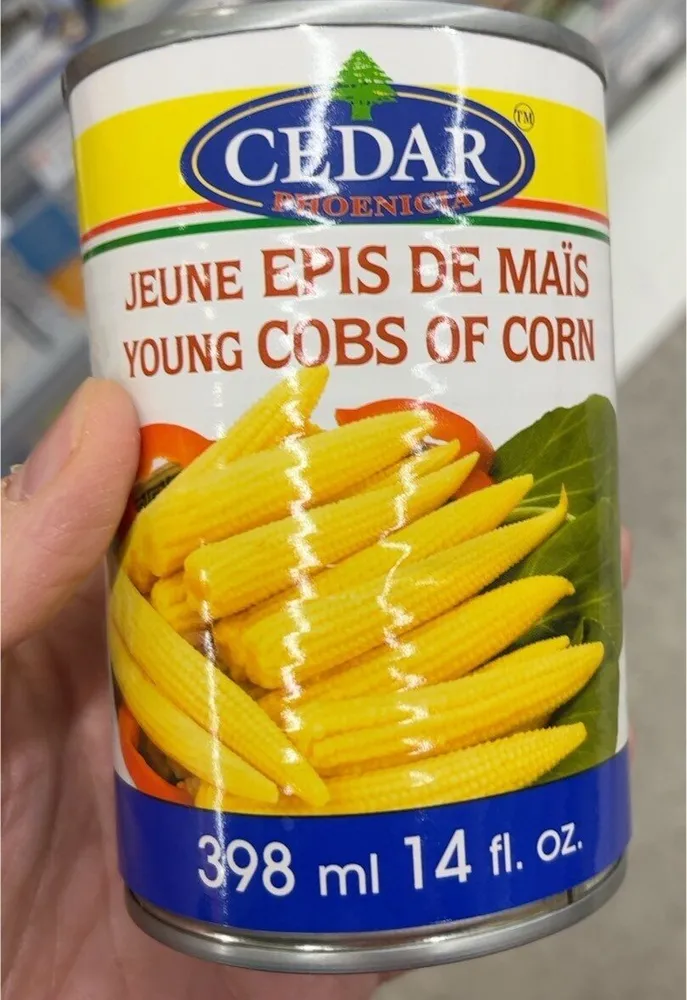 Young cobs of corn