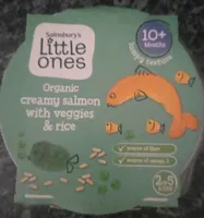 Organic Creamy Salmon with Veggies and rice