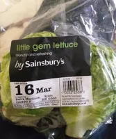 Little gem lettuce