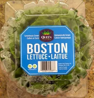 Boston Lettuce