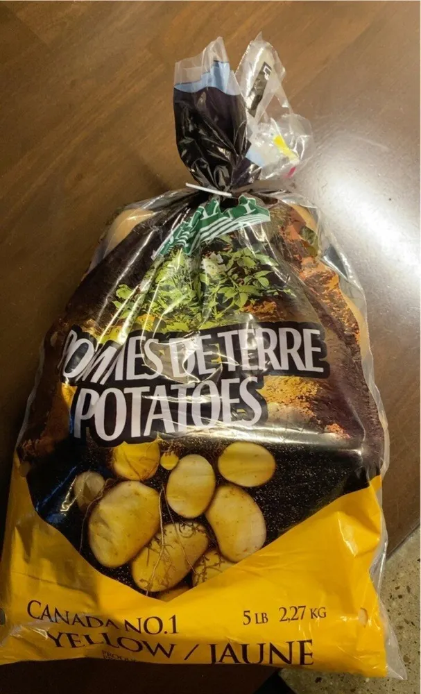 Potato