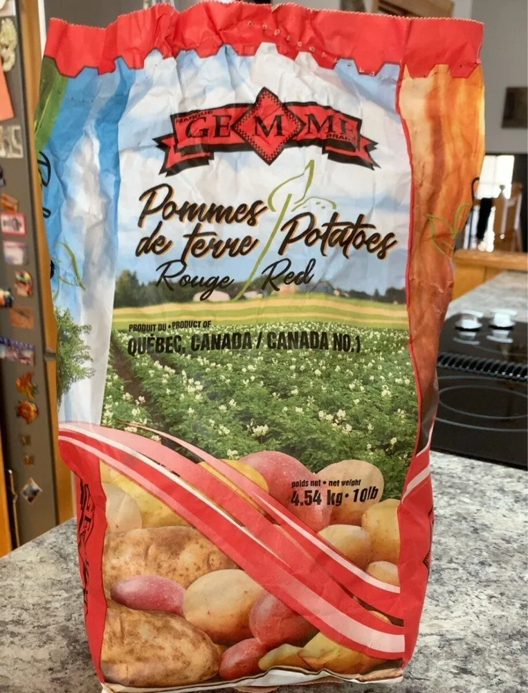 Pomme de terre rouge