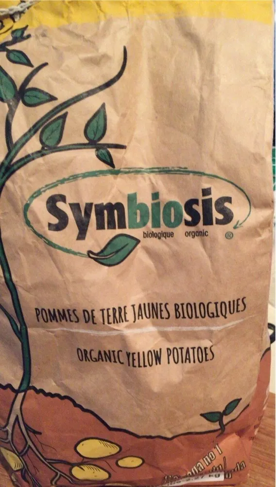 Pommes de terre