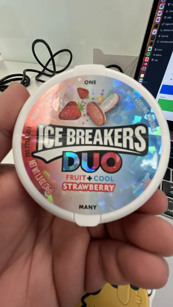 ICE BREAKERS DUO