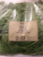 Young Spinach