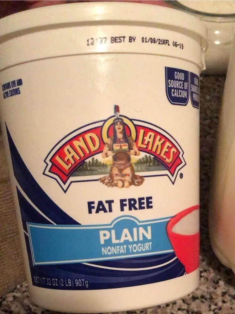 Plain not fat yogurt