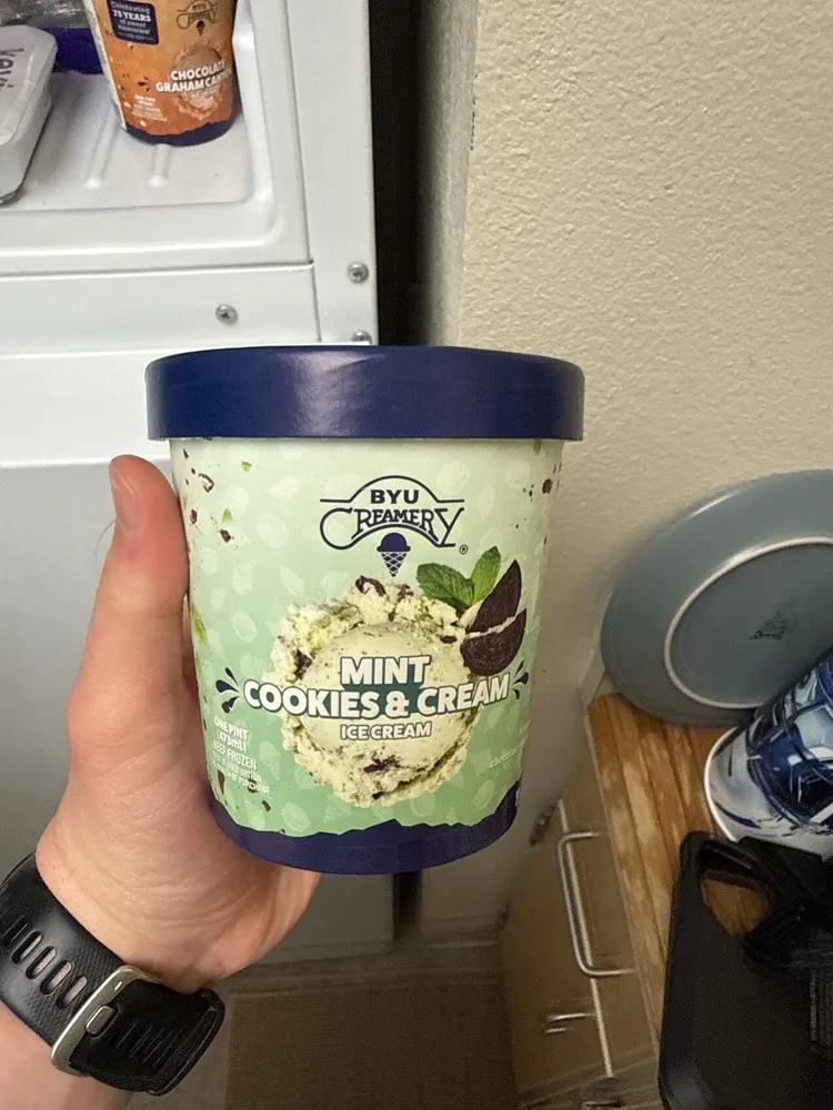 Mint And Cookies And Cream Ice cream