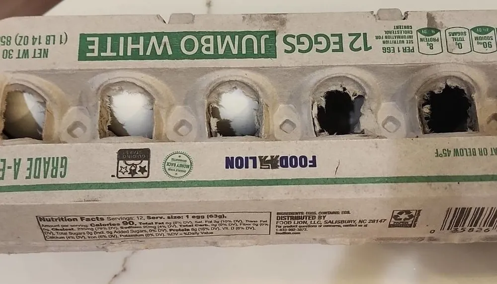 Jumbo White Eggs