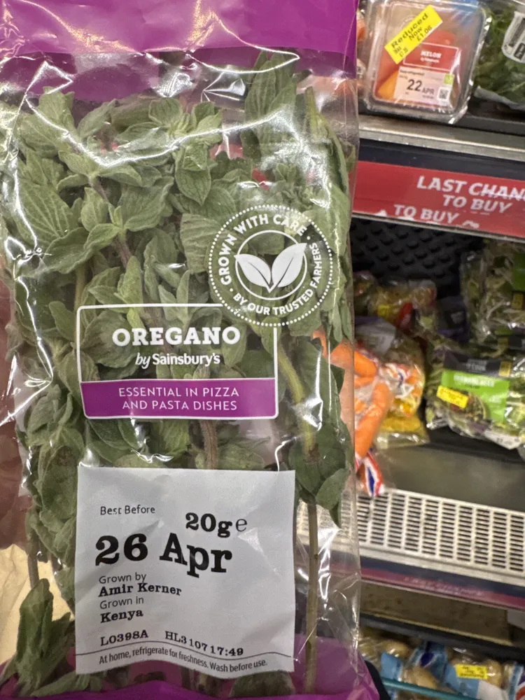 Fresh Oregano