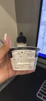 Blended Greek Yogurt Vanilla Bean