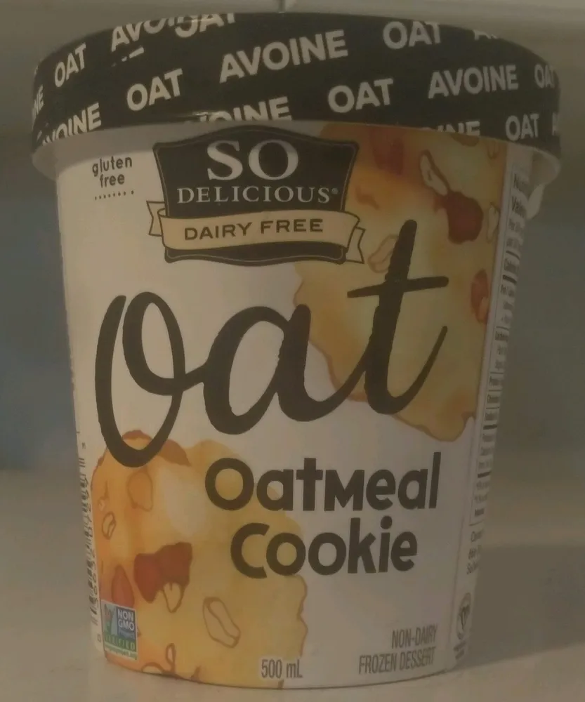 Oatmilk Non-Dairy Frozen Dessert, Oatmeal Cookie