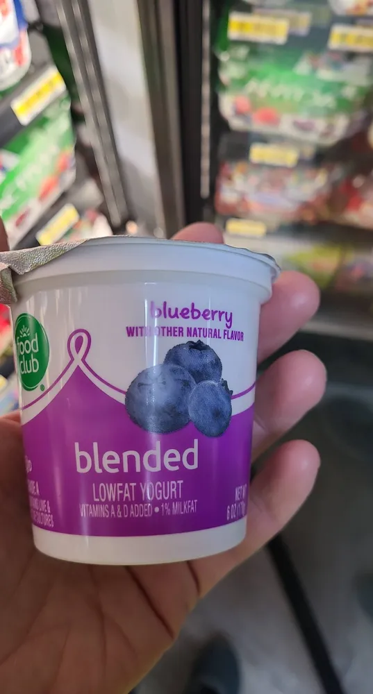 Blueberry blended lowfat yogurt, blueberry