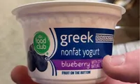 Blueberry fruit on the bottom greek nonfat yogurt