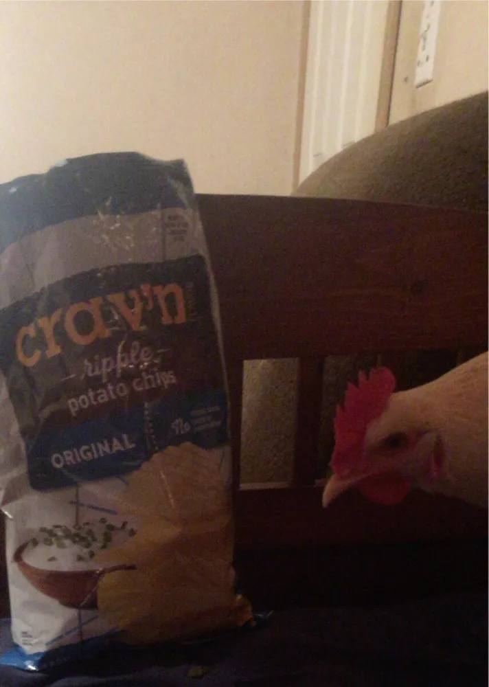 ripple potato chips ORIGINAL