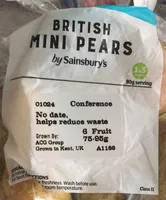 British mini pears