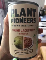 Young jackfruit in water