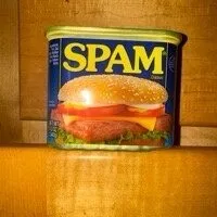 Spam classic