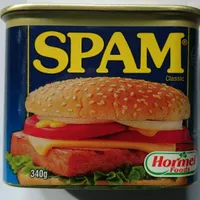 Spam Classic 340G