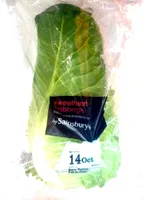 Sweetheart Cabbage