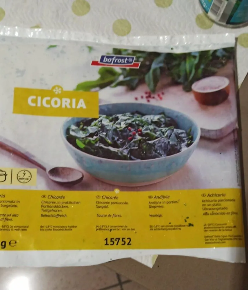 Cicoria